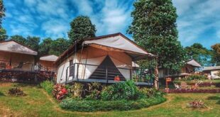 Camping Mewah Anti Ribet di Bandung