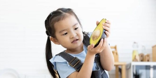 Jenis Vitamin untuk Kecerdasan dan Daya Tahan Tubuh Anak 1 Tahun