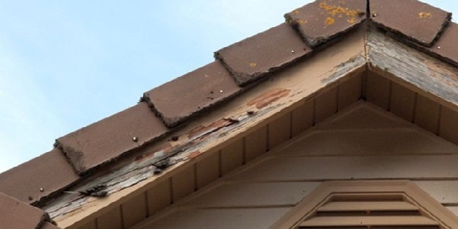 5 Cara Mengatasi Pintu Kayu yang Dimakan Rayap, Mudah dan Efektif!